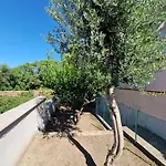 شقة Per Chi Ama Gustare Il Caffe In Terrazzo روما